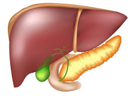 Gall Bladder Surgery $2000