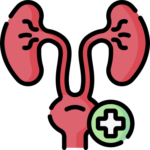 Urology 